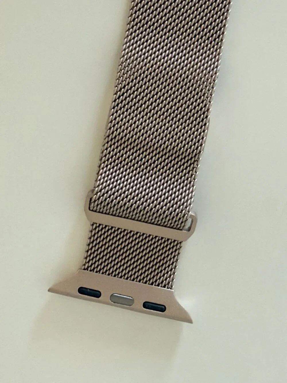 Stainless Steel Mesh Loop Magnetic Clasp Apple Watch Band